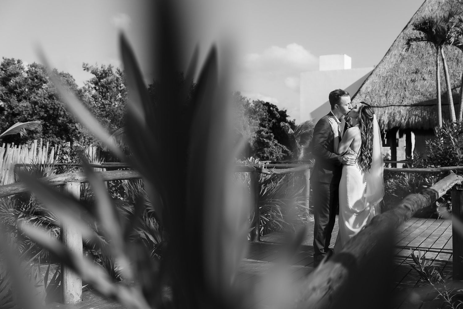 Black and white photo of a wedding couple embracing on a tropical resort deck framed by lush exotic plants.