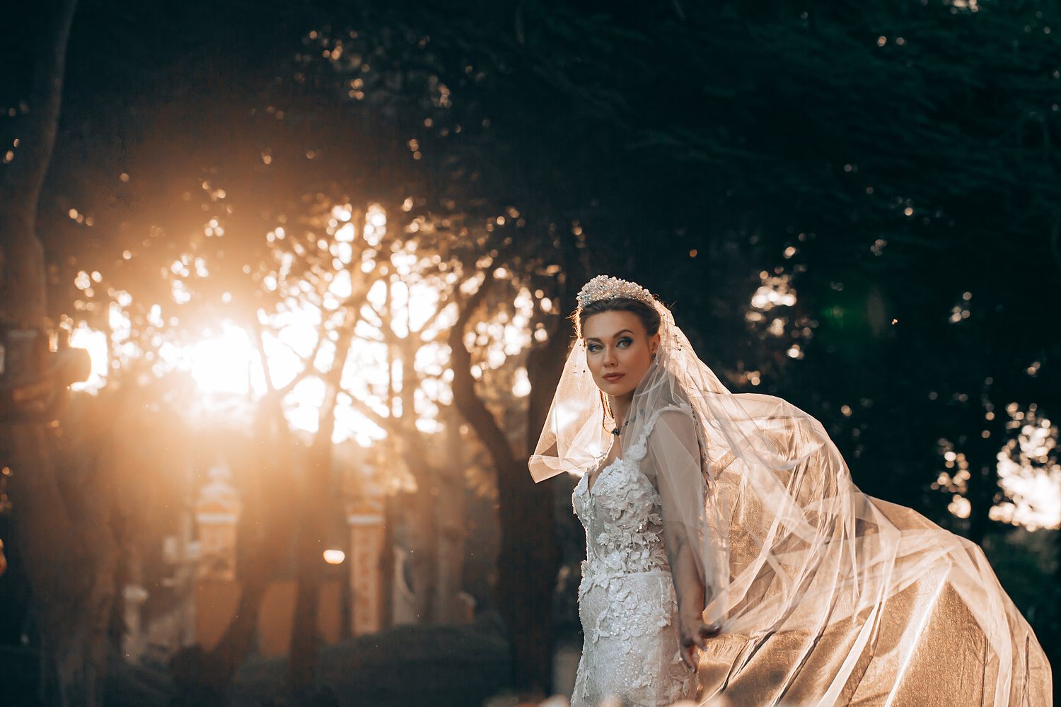 Sunset wedding photography session with dramatic backlighting through trees.