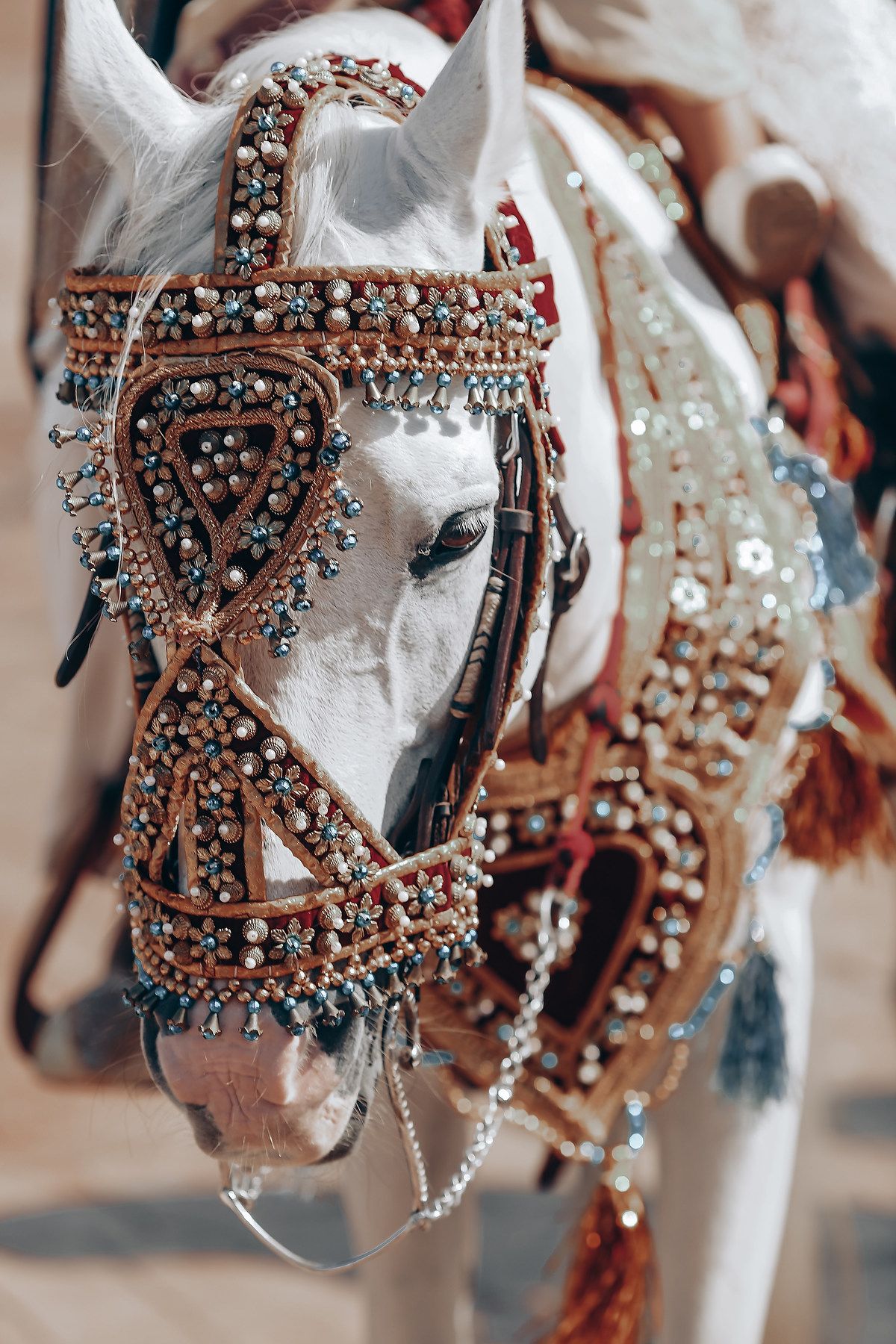 Decorative carousel horses with ornate jeweled bridles and metallic accents displayed in a row.
