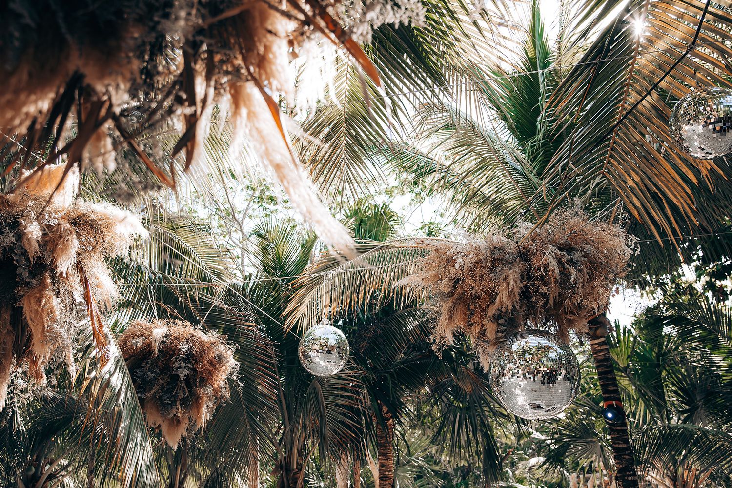 Palm trees with brown fronds create a tropical canopy against a bright sky, giving a moody natural atmosphere.