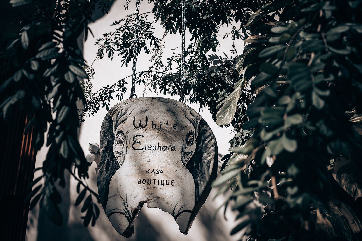 A vintage sign for 'White Elephant' seen through green foliage creates a moody atmospheric composition.