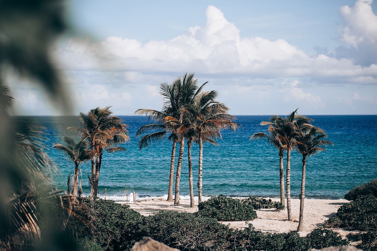 Palm trees sway in the wind along a tropical beach with turquoise waters and white sand under blue skies.