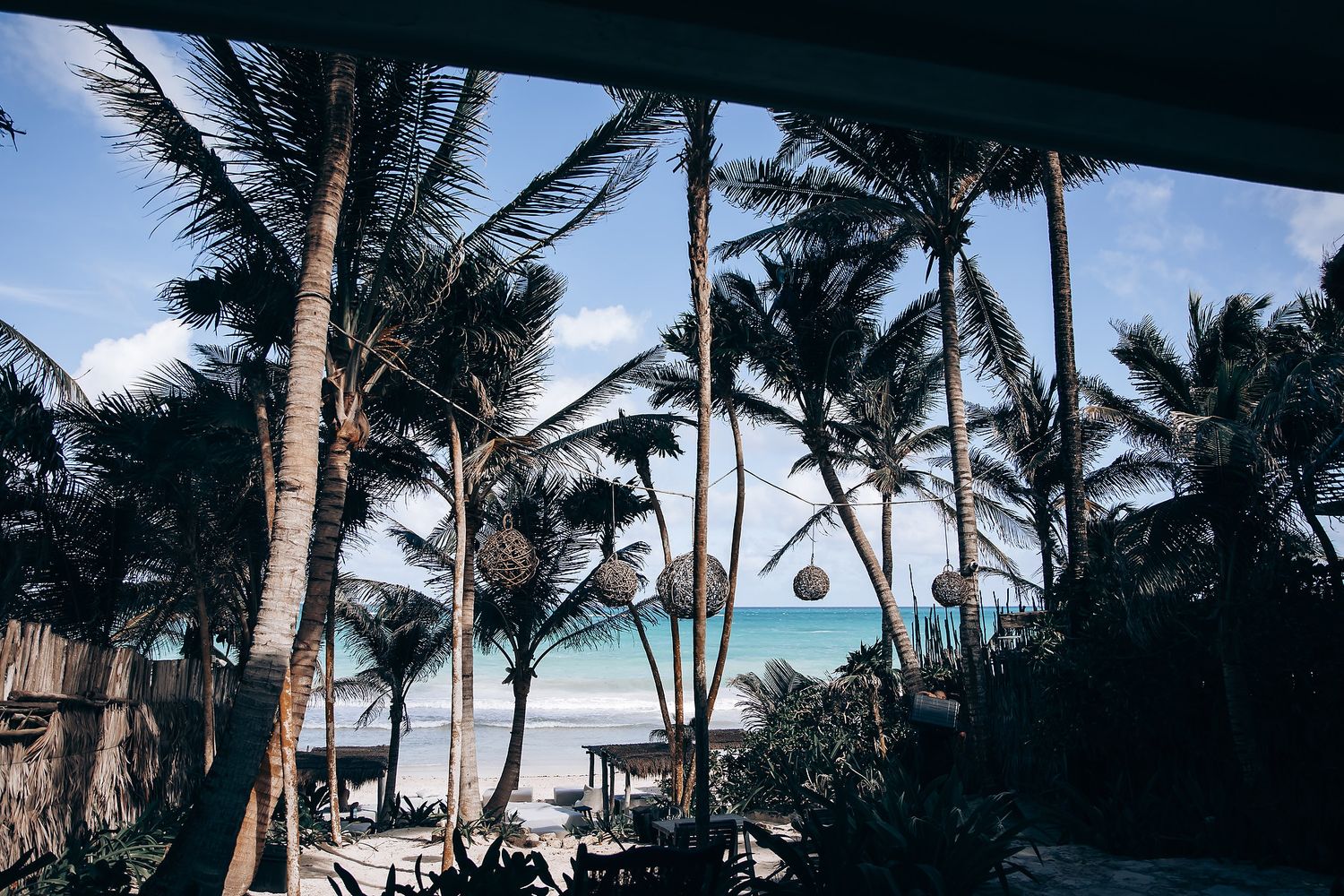 Silhouettes of palm trees against blue sky at a tropical beach location.