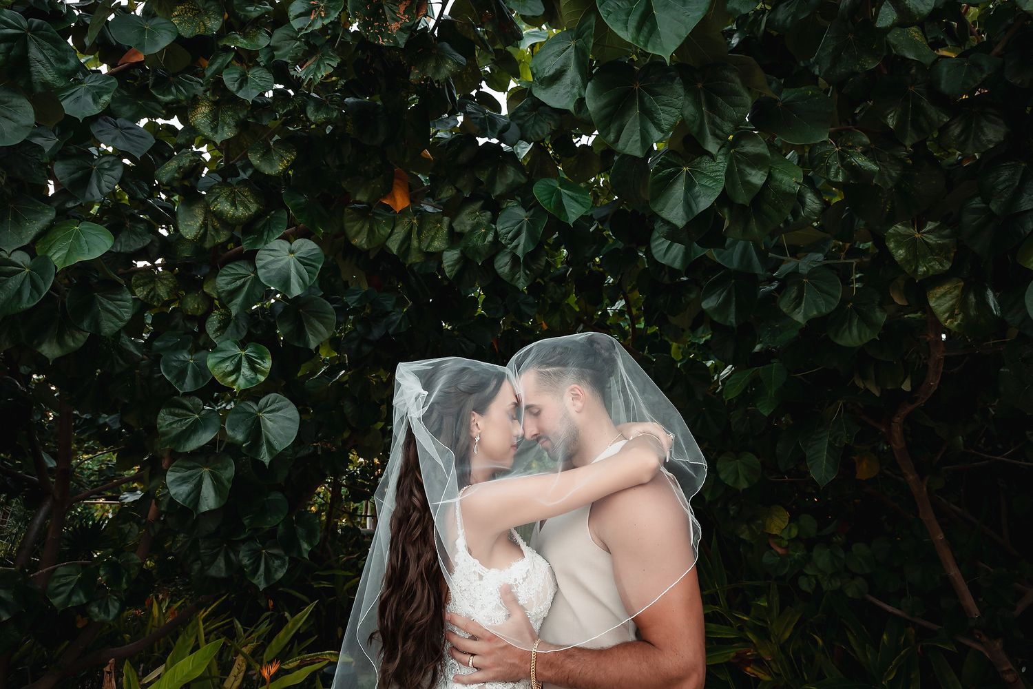Bride and groom sharing a romantic moment under a sheer veil, surrounded by lush green tropical foliage.