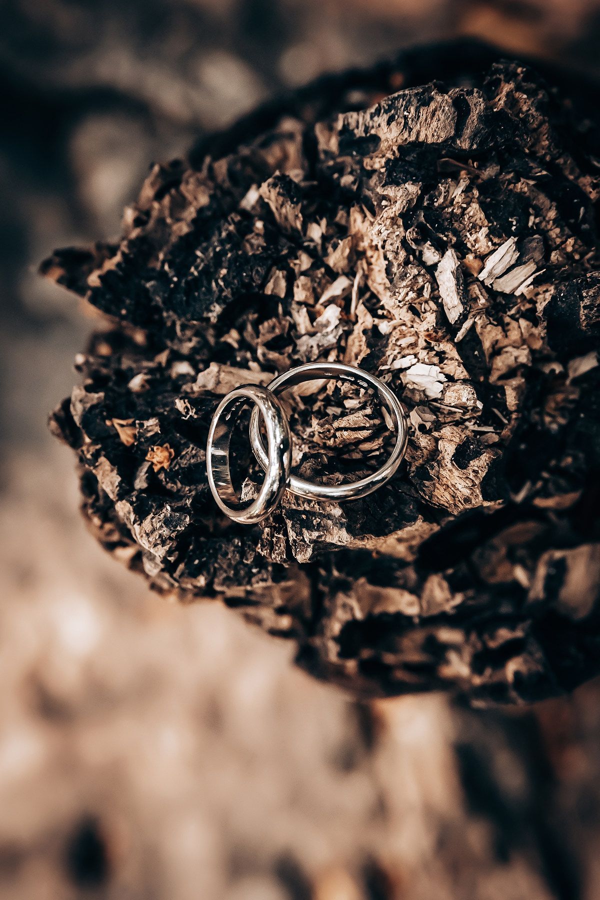 Wedding rings artistically photographed on textured dark surface.
