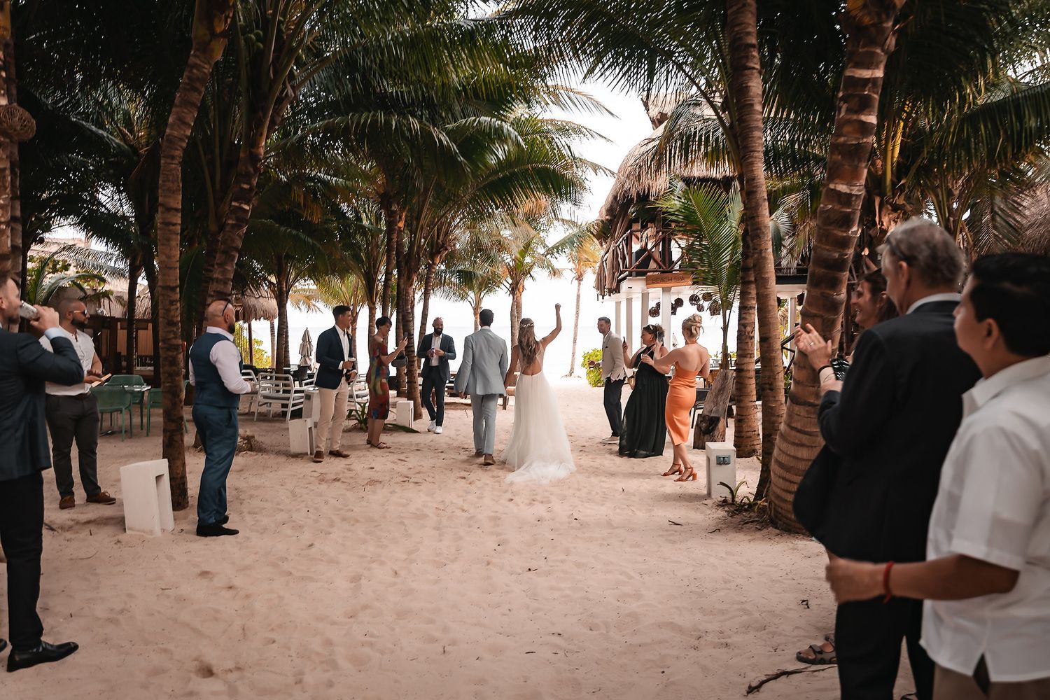 Palm trees create a natural canopy over wedding guests gathered on a beachfront path.