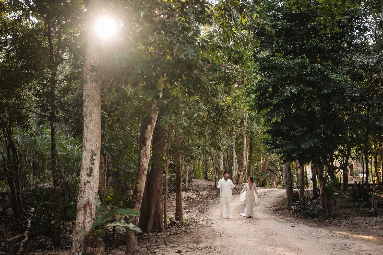 Sunlit forest path with tall trees creating a natural archway through lush green foliage.