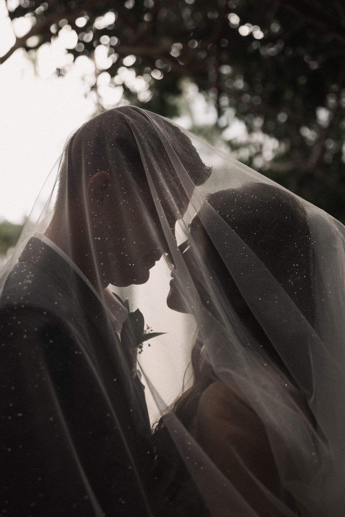 Romantic silhouette of bride and groom nearly kissing beneath a sparkling veil in soft backlight.