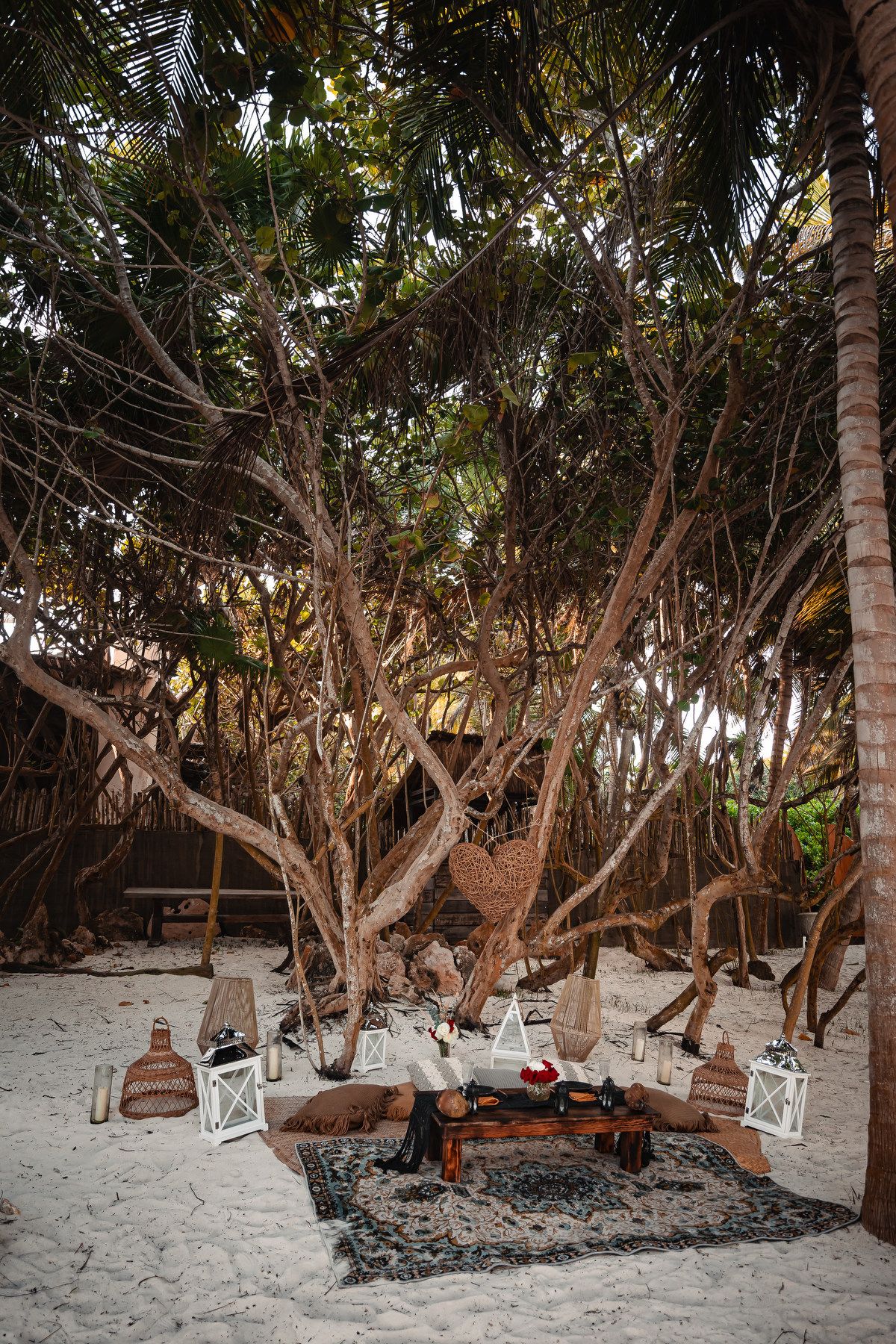 Bohemian beach setup with patterned rug and white lanterns under twisted tree branches.