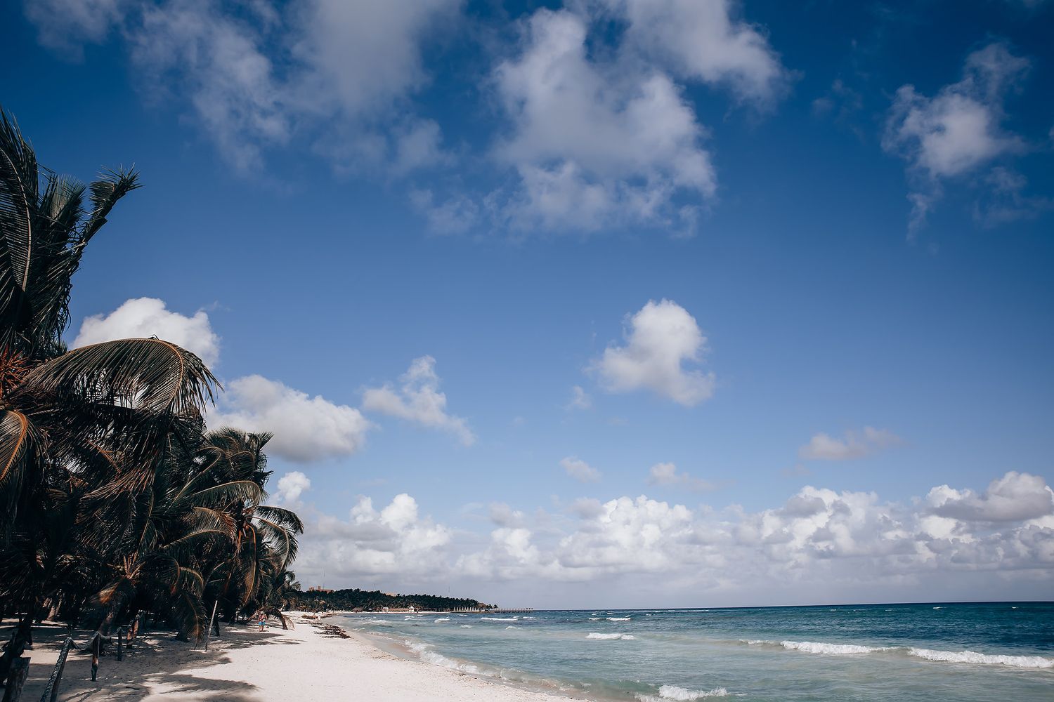 Tropical beach landscape with palm trees and white sand against blue ocean and cloudy sky.