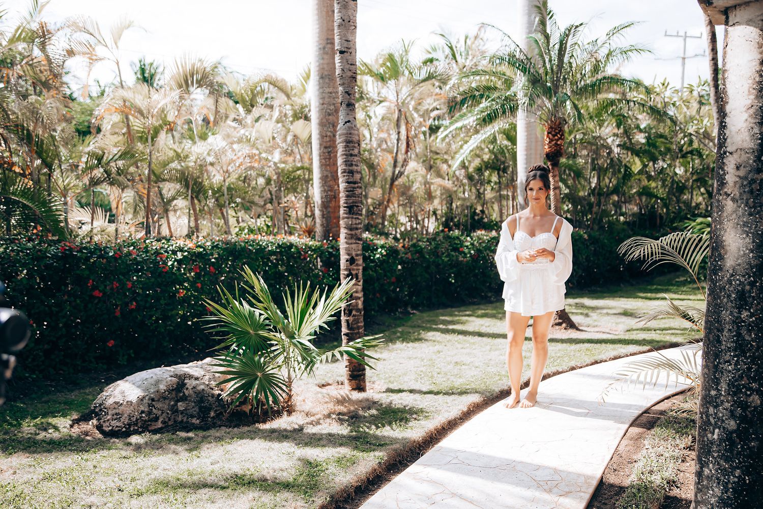 A scenic stone pathway winds through a tropical palm garden with lush greenery and sunlit landscaping.