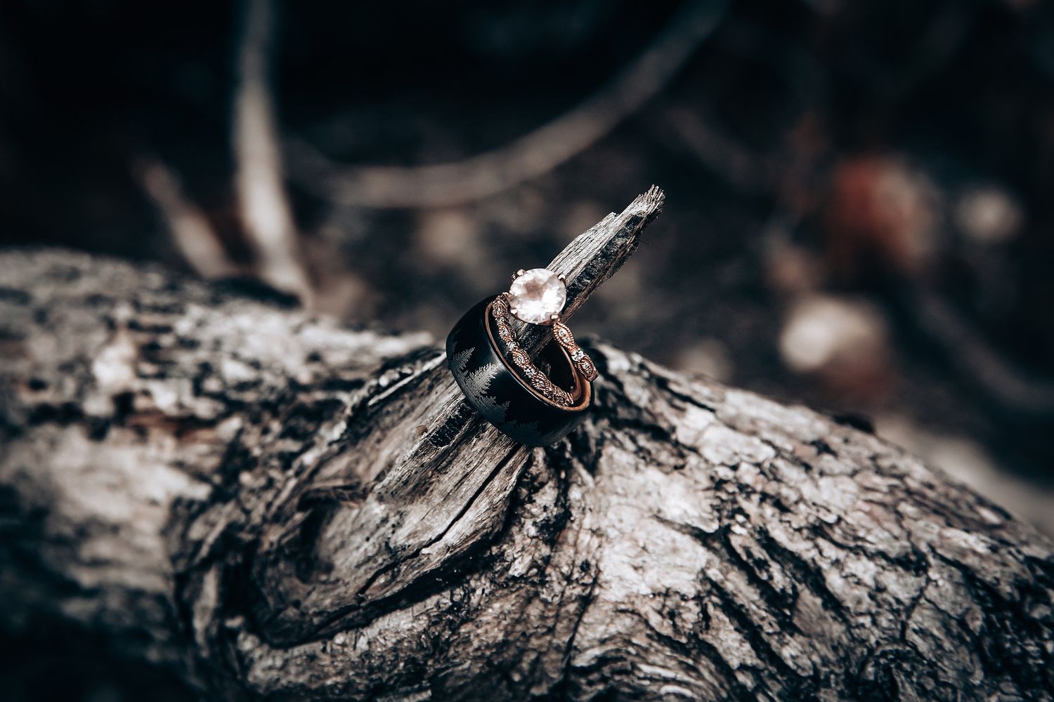 Close-up detail of weathered tree bark texture in dark tones.