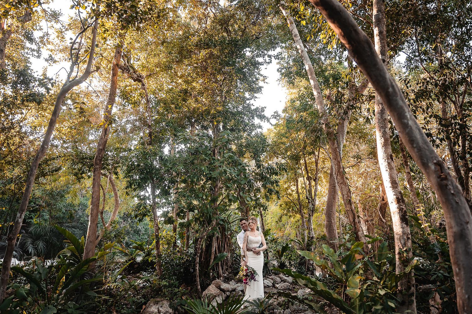 Sunlight streams through tropical trees creating a golden glow in a natural setting.