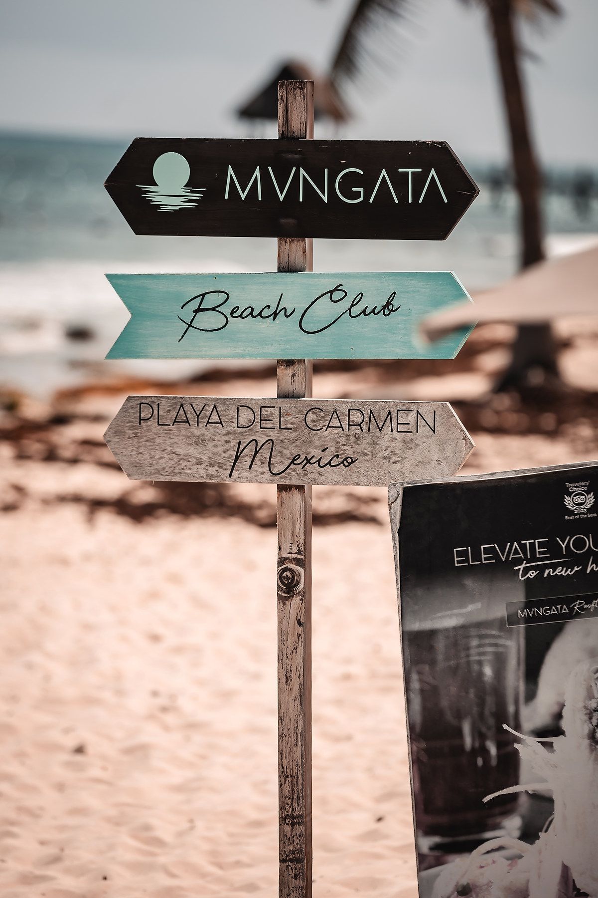 Wooden directional signs on a beach point to various locations including Mvngata and Beach Club Mexico.