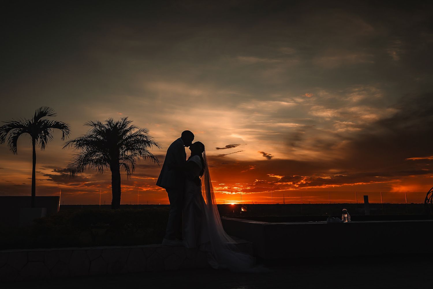Romantic silhouette against vibrant orange sunset with palm trees.