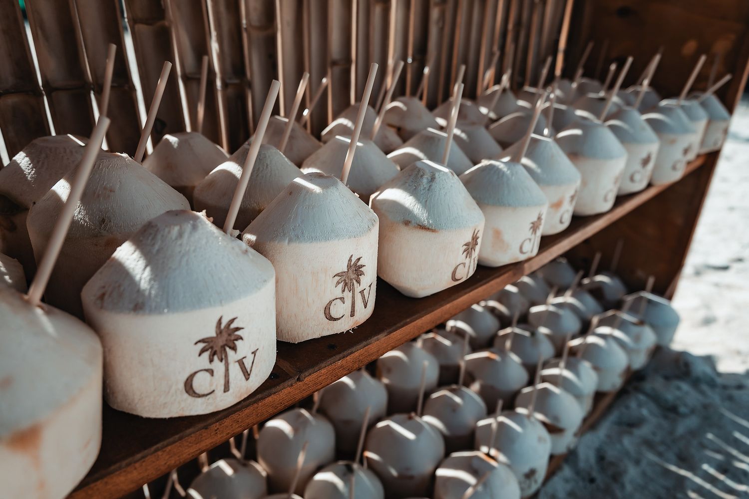 Rows of fresh coconuts with CIV logo and straws displayed on wooden shelves at a tropical resort bar.