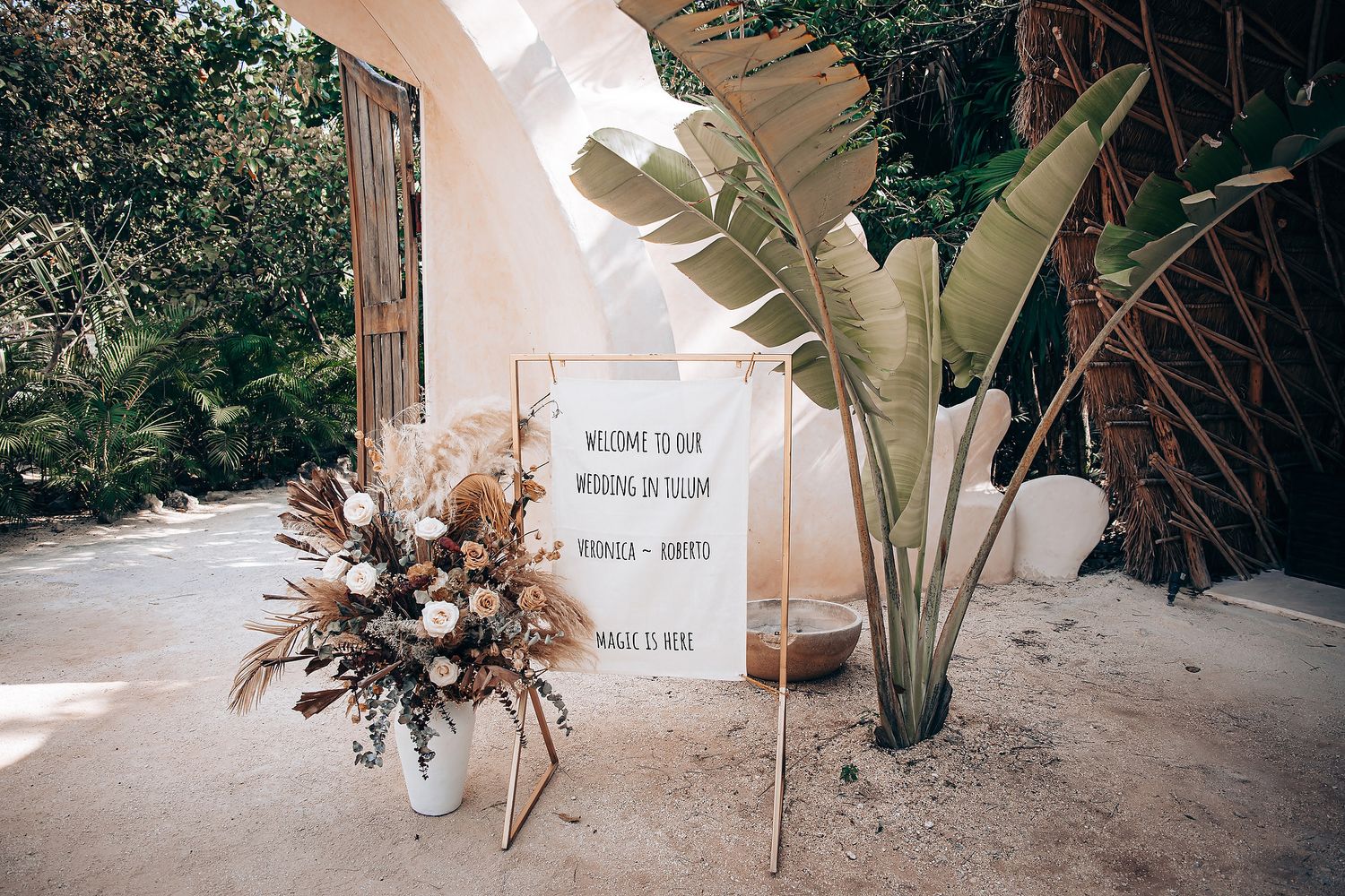 A series of connected outdoor garden photos showing tropical plants and stone pathways in muted beige tones.