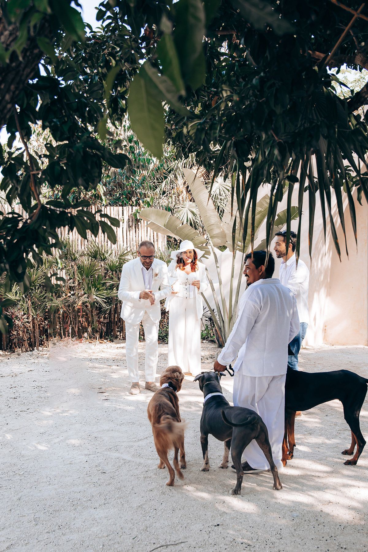 A group of people in white clothing walk along a sandy path with dogs while enjoying a sunny day outdoors.