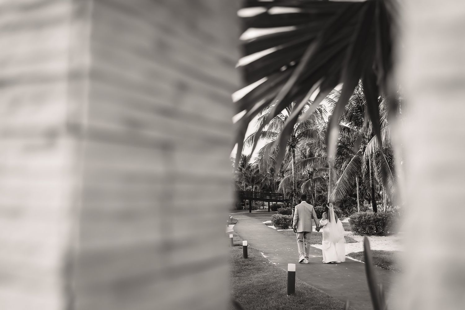 Artistic black and white photo of newlyweds walking through a tropical garden setting.