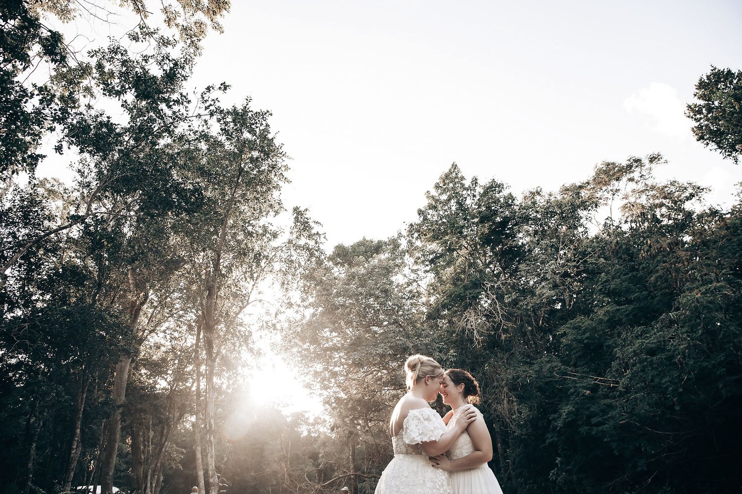 A bride and groom embracing in a sunlit forest, surrounded by lush greenery.