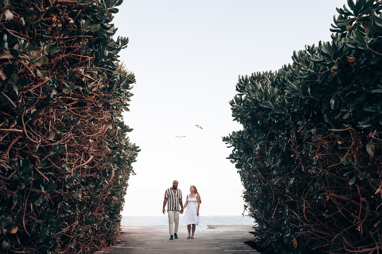 Couple walking hand in hand through a lush green hedge pathway toward a bright open sky horizon.
