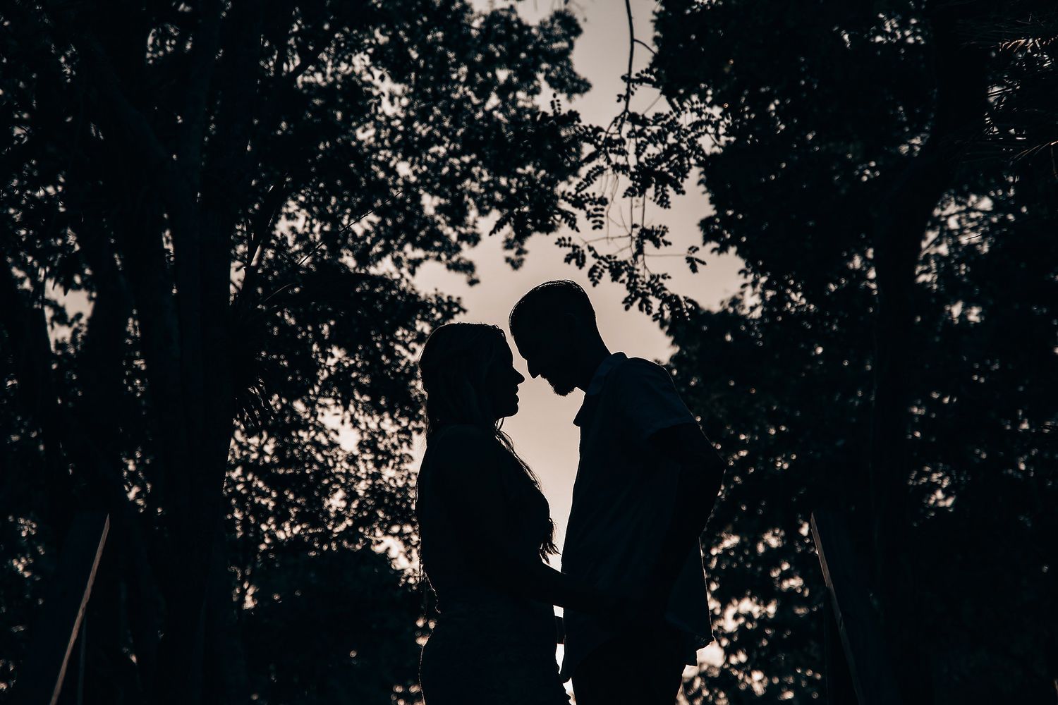 Silhouettes of people gathered outdoors under tree canopy at dusk.