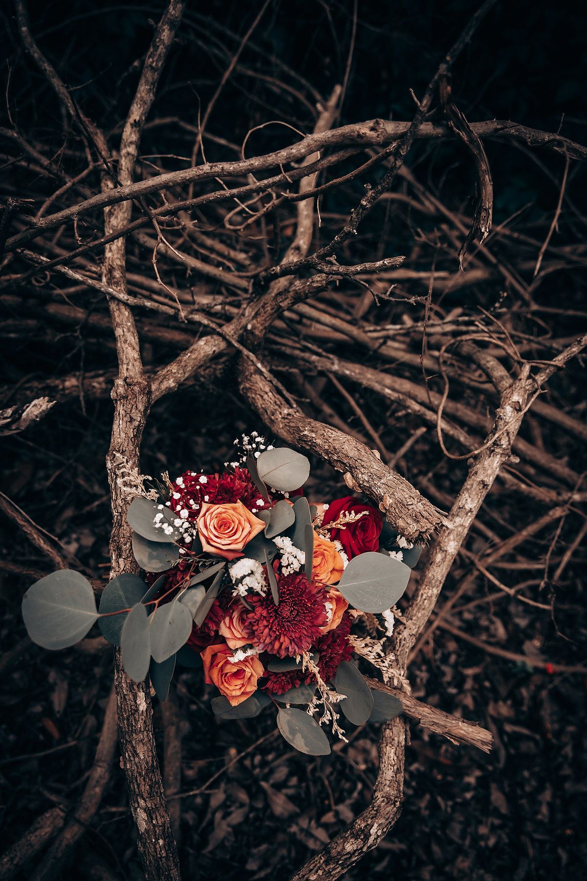A moody floral arrangement with red roses and eucalyptus leaves placed on dark twisted branches.
