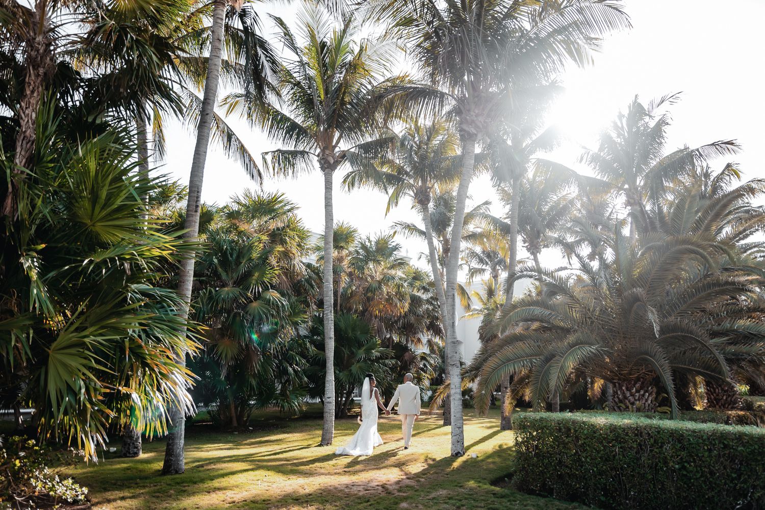 Sunlit tropical garden with tall palm trees and white-clad figures walking along a lush green pathway.
