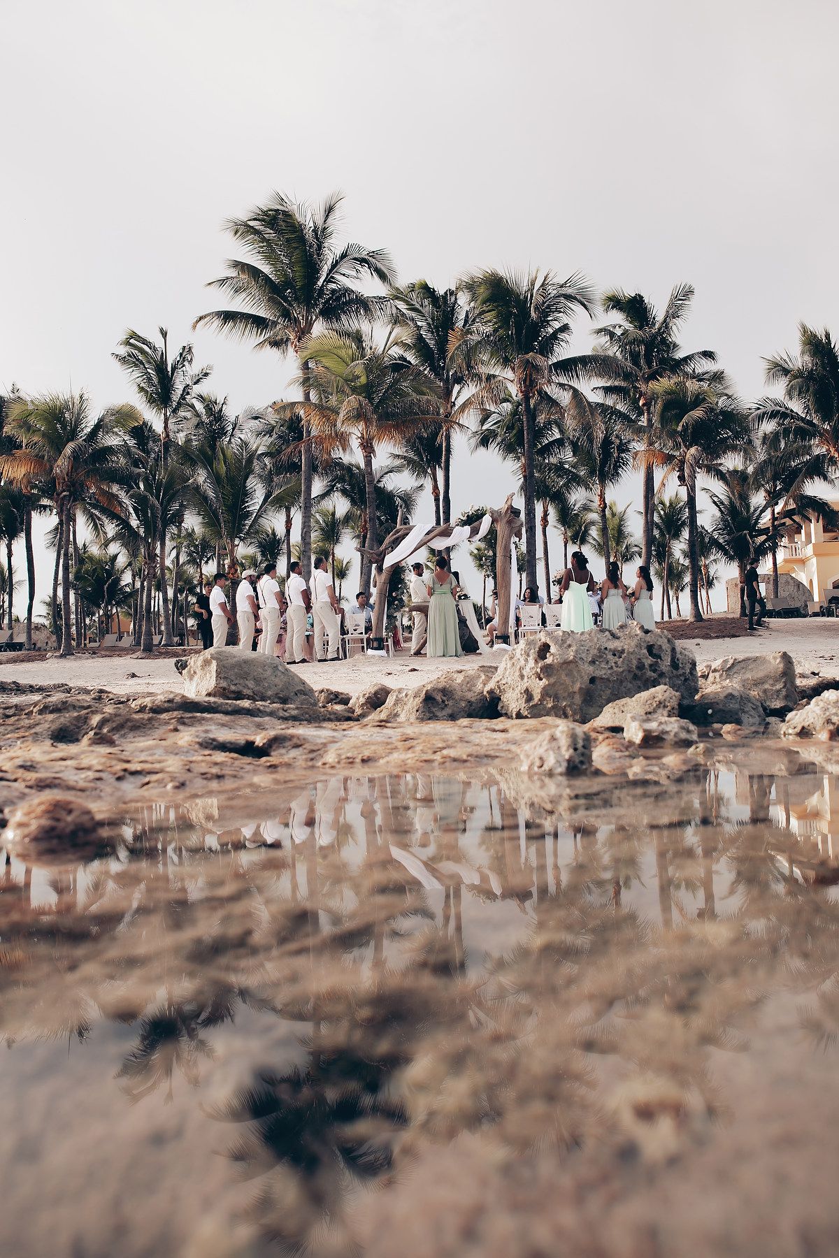 Palm trees line a beach wedding ceremony site with white chairs and decor.