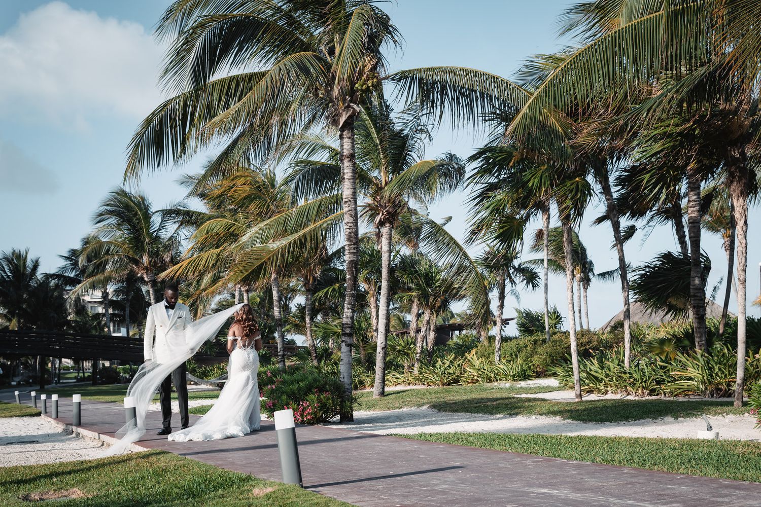 Bride and groom pose among tropical palm trees on a sunny wedding day in a coastal outdoor setting.
