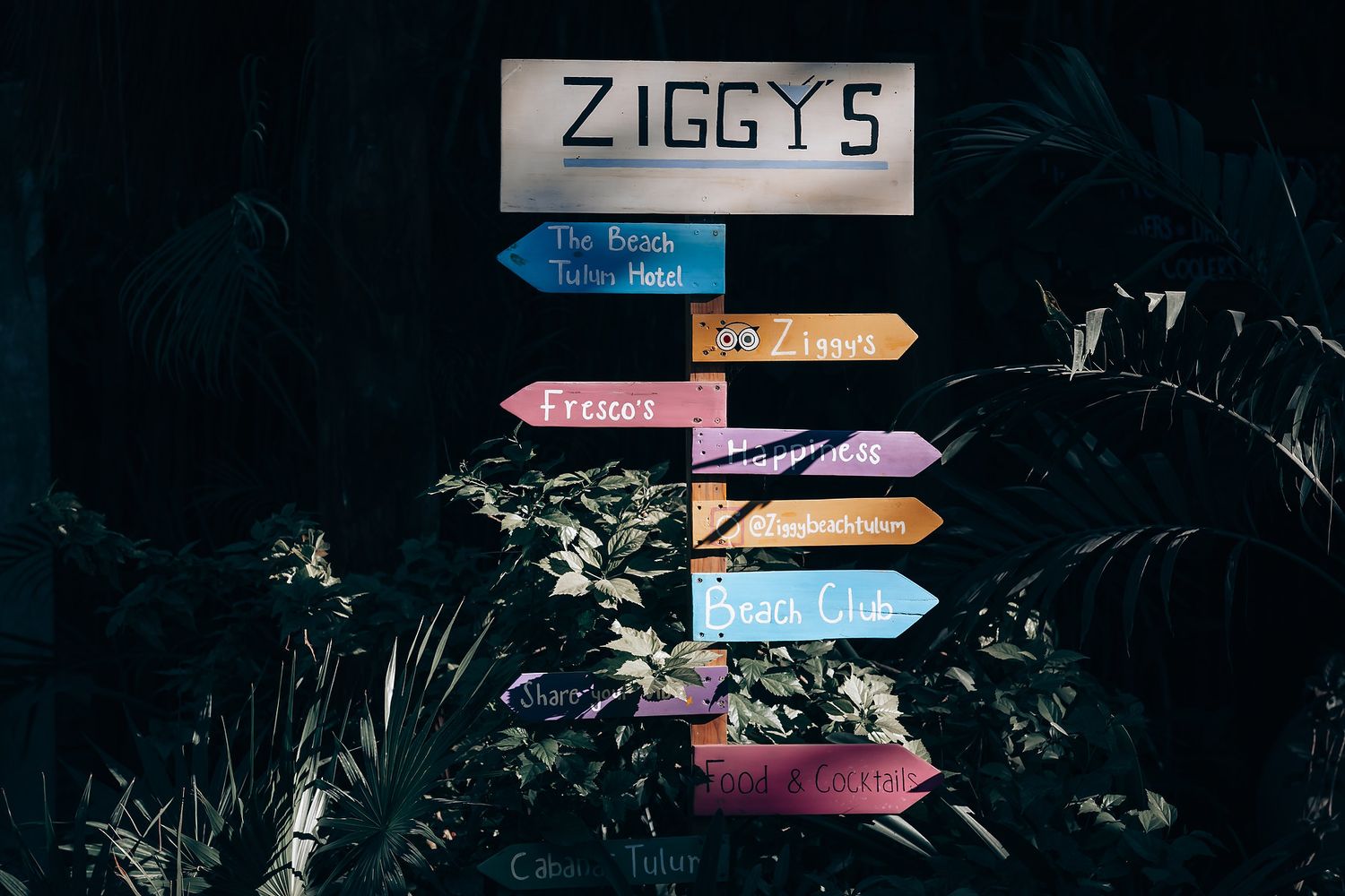 A sign post with directional arrows pointing to various destinations, surrounded by lush vegetation.