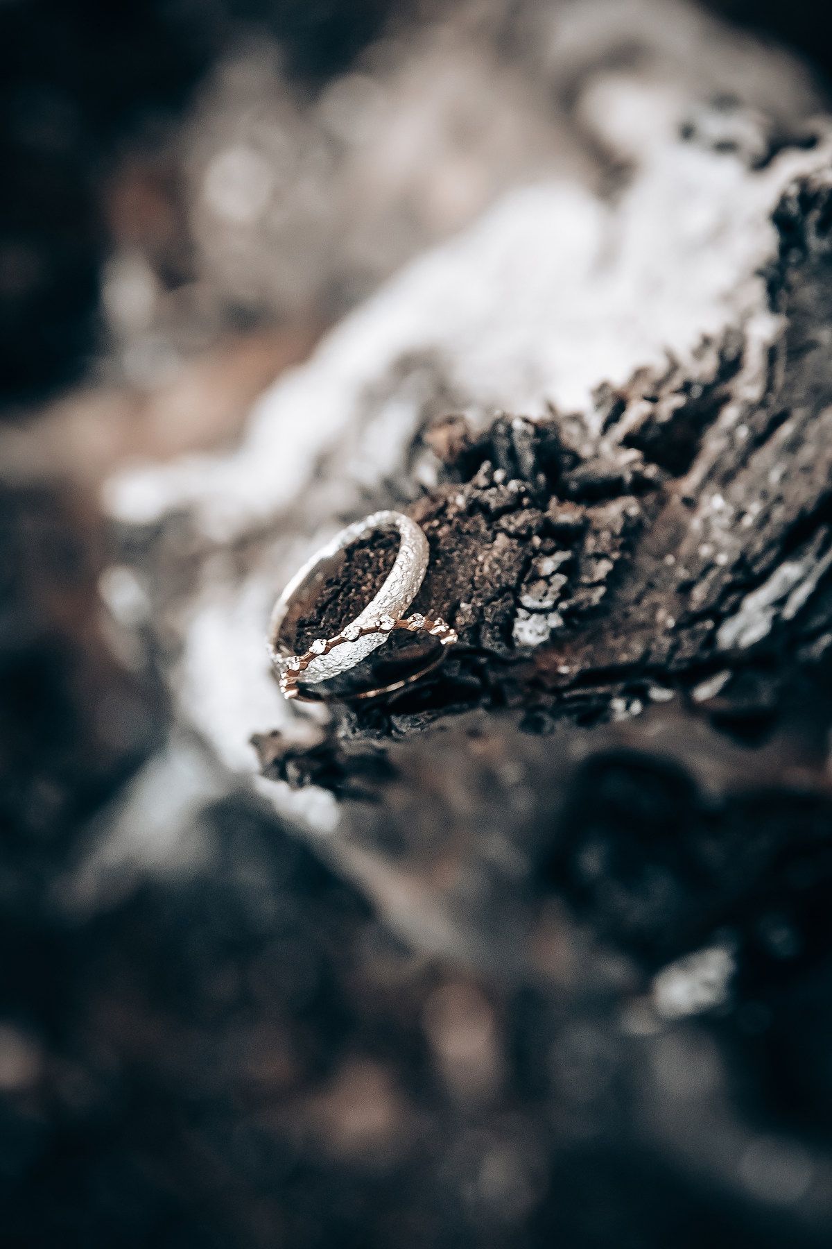 Close-up macro photography of dark rocky terrain with white crystalline formations in sharp focus.