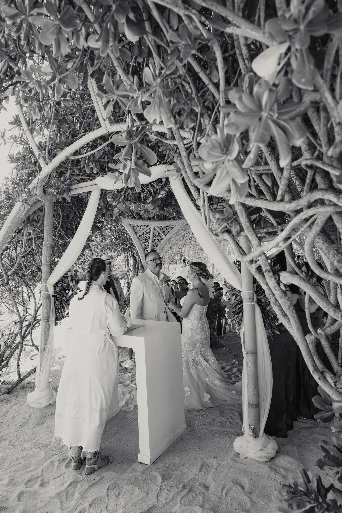 Black and white beach wedding ceremony under twisted trees with bride, groom, and officiant at altar.