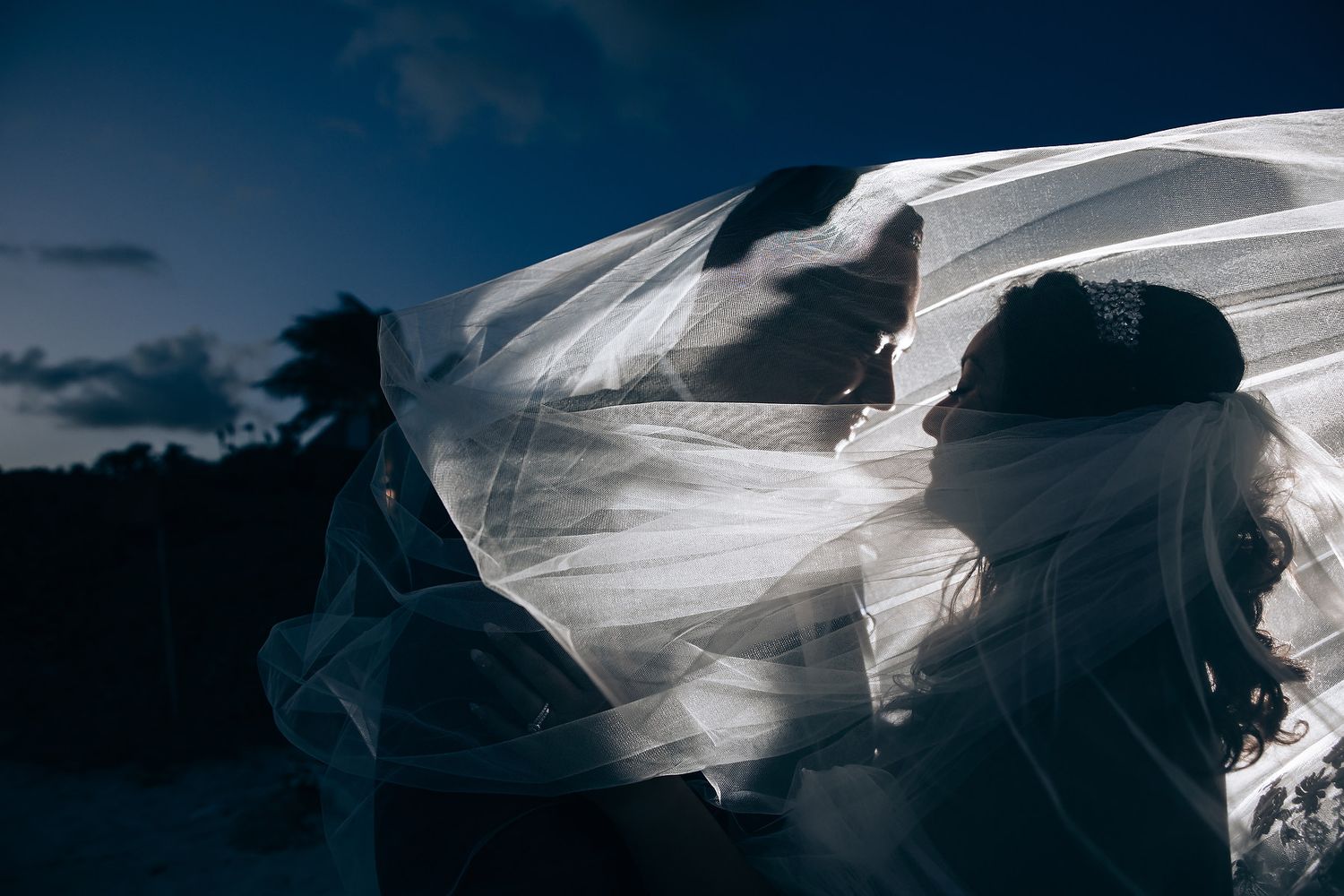 Flowing white wedding veil billowing dramatically against a dusky sky.
