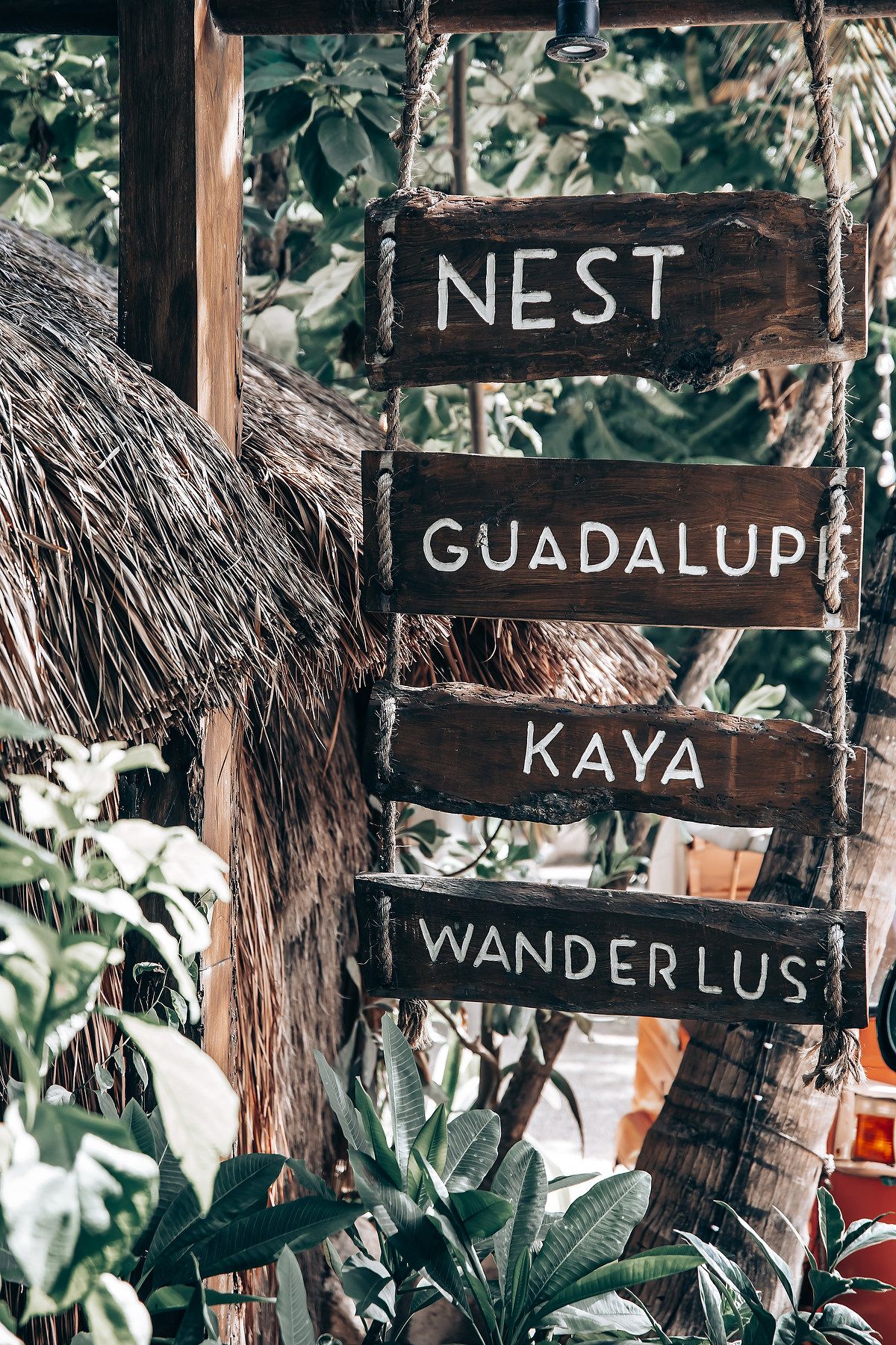 Rustic wooden signs displaying 'NEST', 'GUADALUPE', and 'WANDERLUST' hanging among tropical foliage.