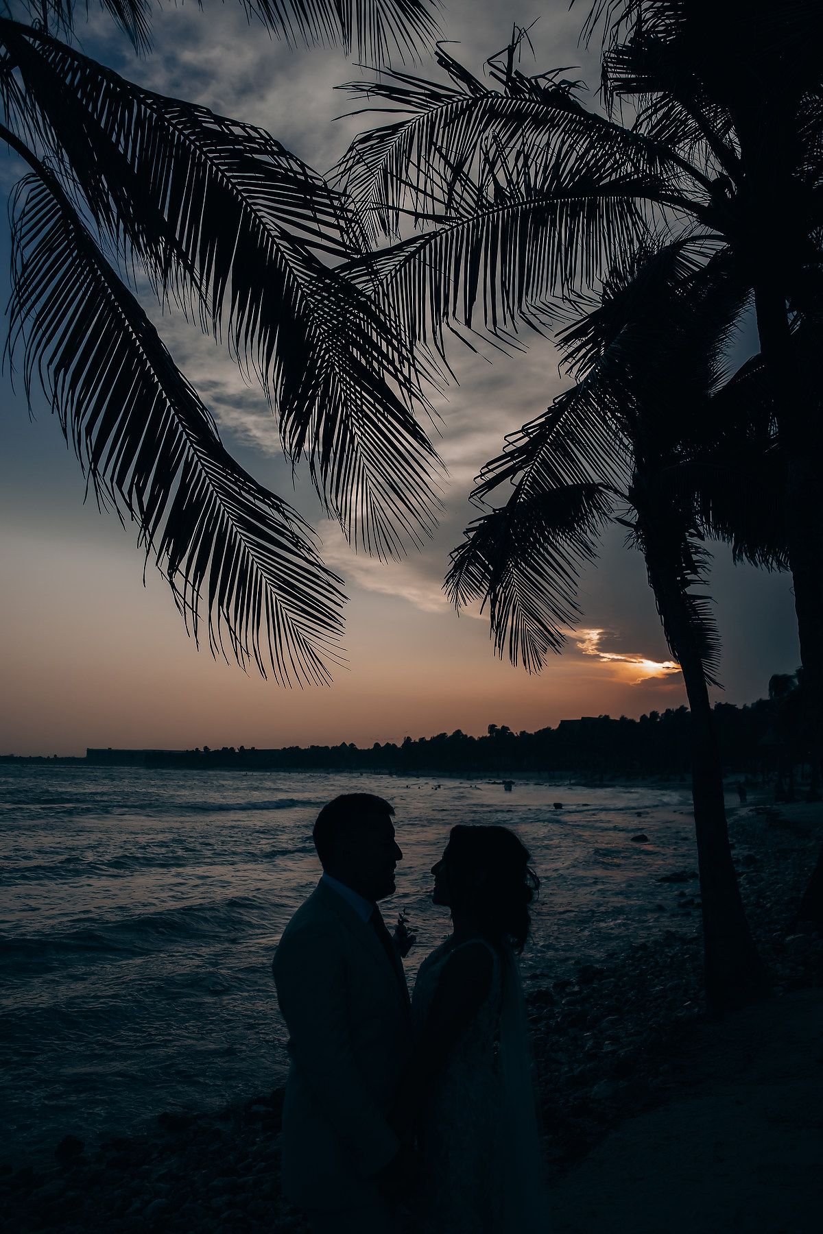 Dramatic silhouettes against a tropical sunset with palm trees and ocean waves.