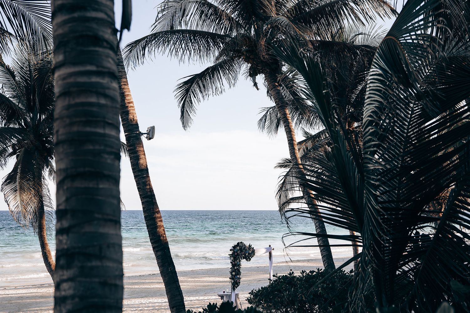 A tropical beach scene with palm trees and a scenic ocean view.