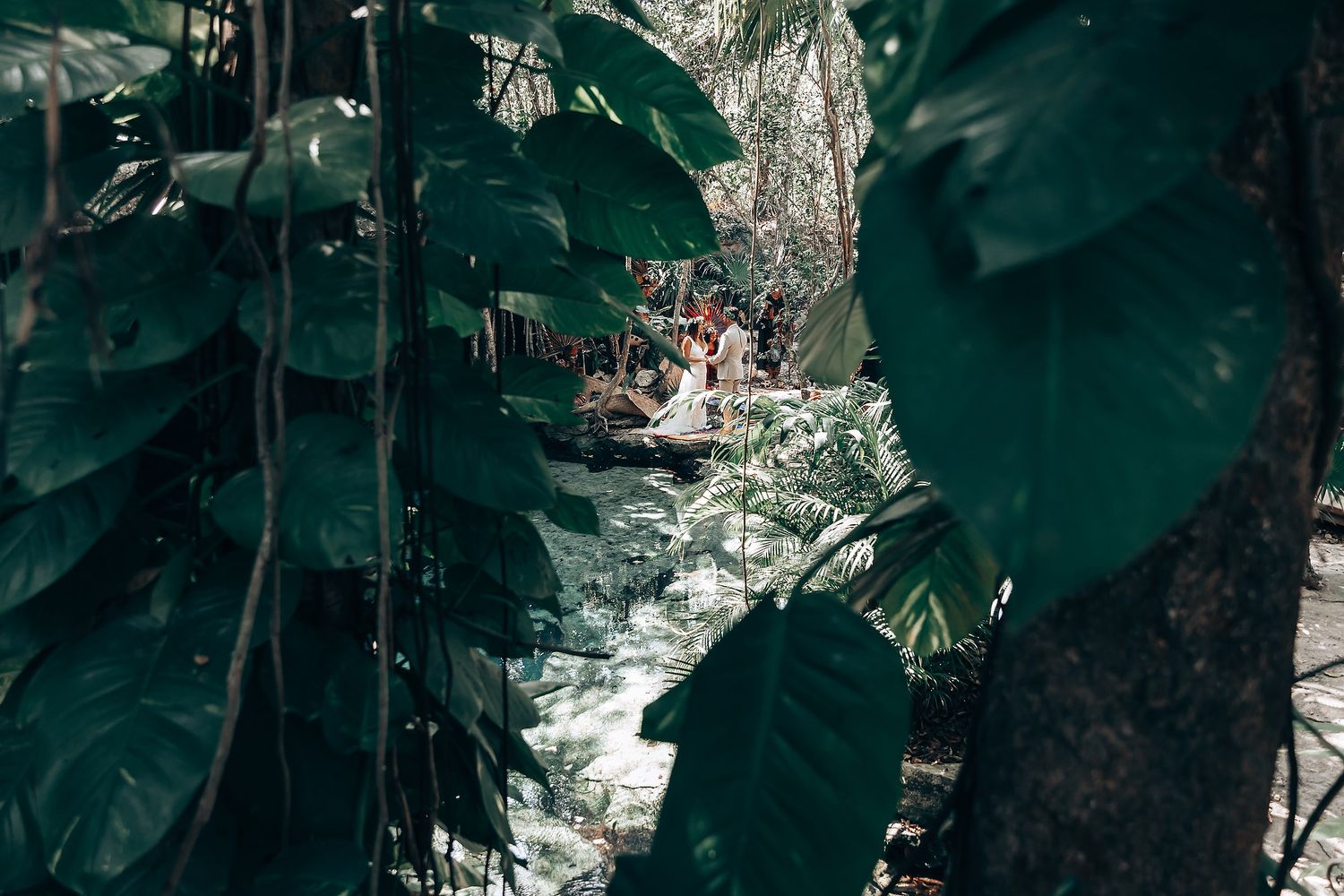 Dense jungle foliage creates a natural green backdrop for an outdoor celebration.