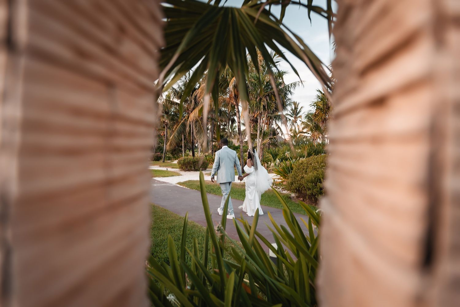 Palm trees frame a tropical beach wedding setting at dusk.