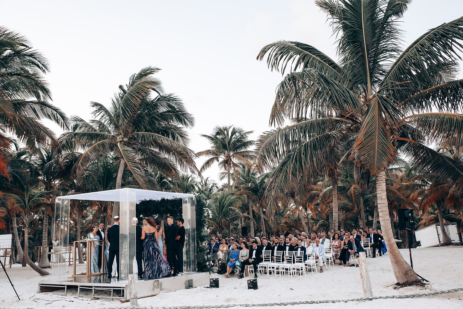 Panoramic view of palm trees lining a tropical beach wedding venue.