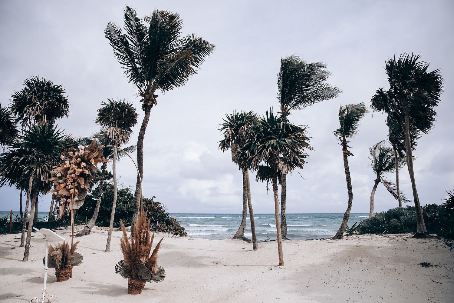 Palm trees line a pristine white sand beach with turquoise ocean waters.