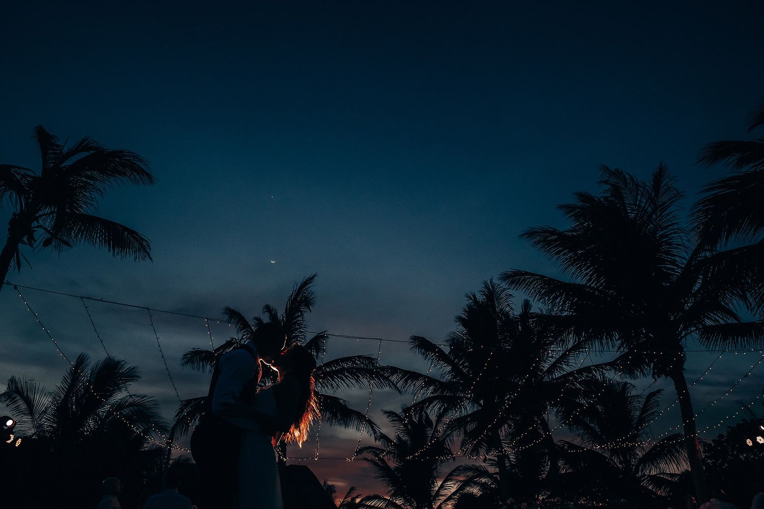 Palm trees silhouetted against a dramatic dusk sky with string lights creating a romantic outdoor setting.
