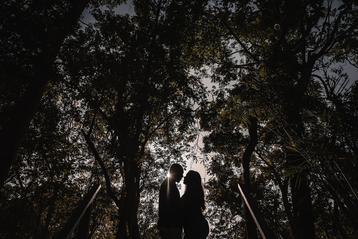 Silhouettes of a couple against a dramatic sunset through tree branches.