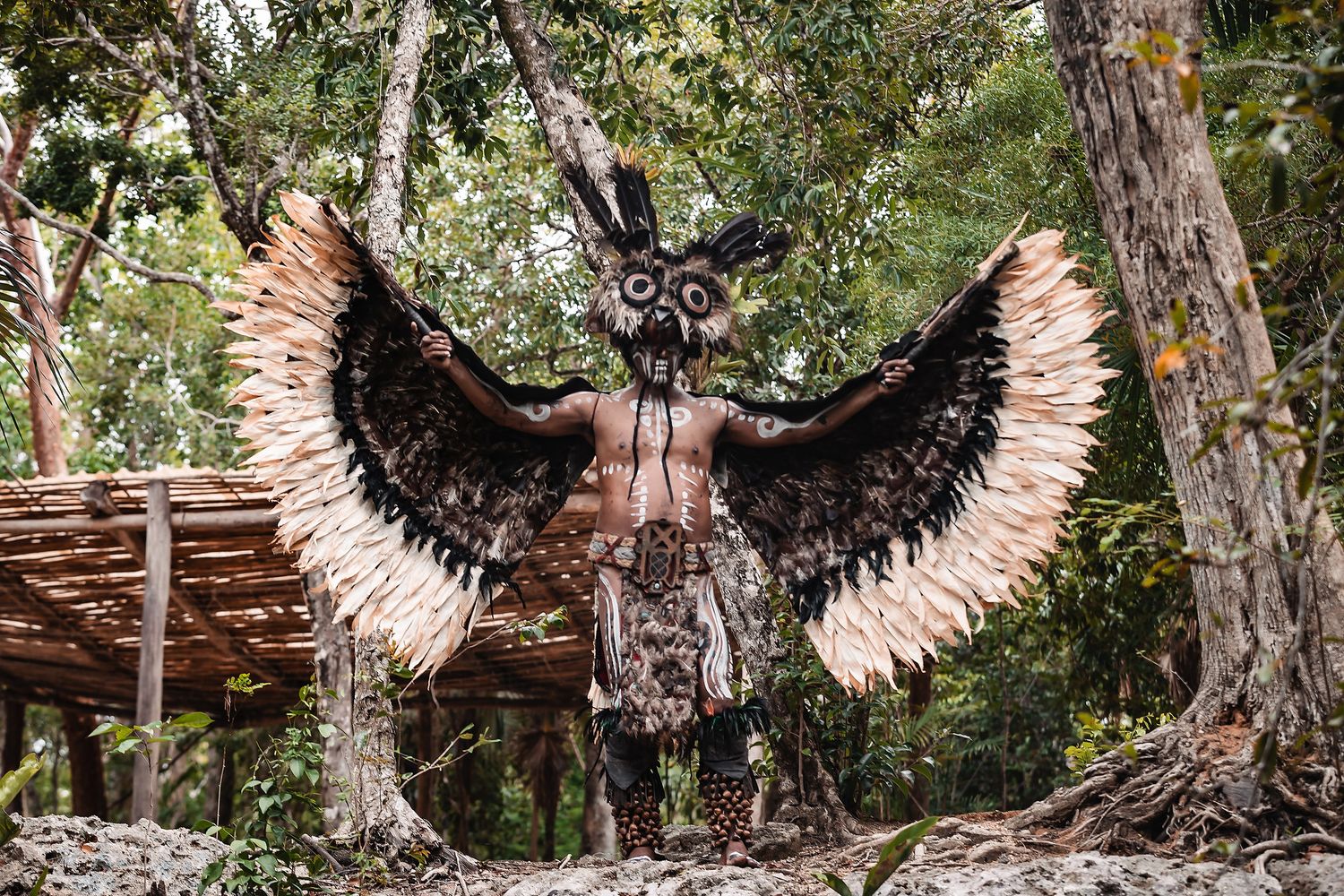 A person wearing an elaborate owl-like costume with large feathered wings in a forest setting.