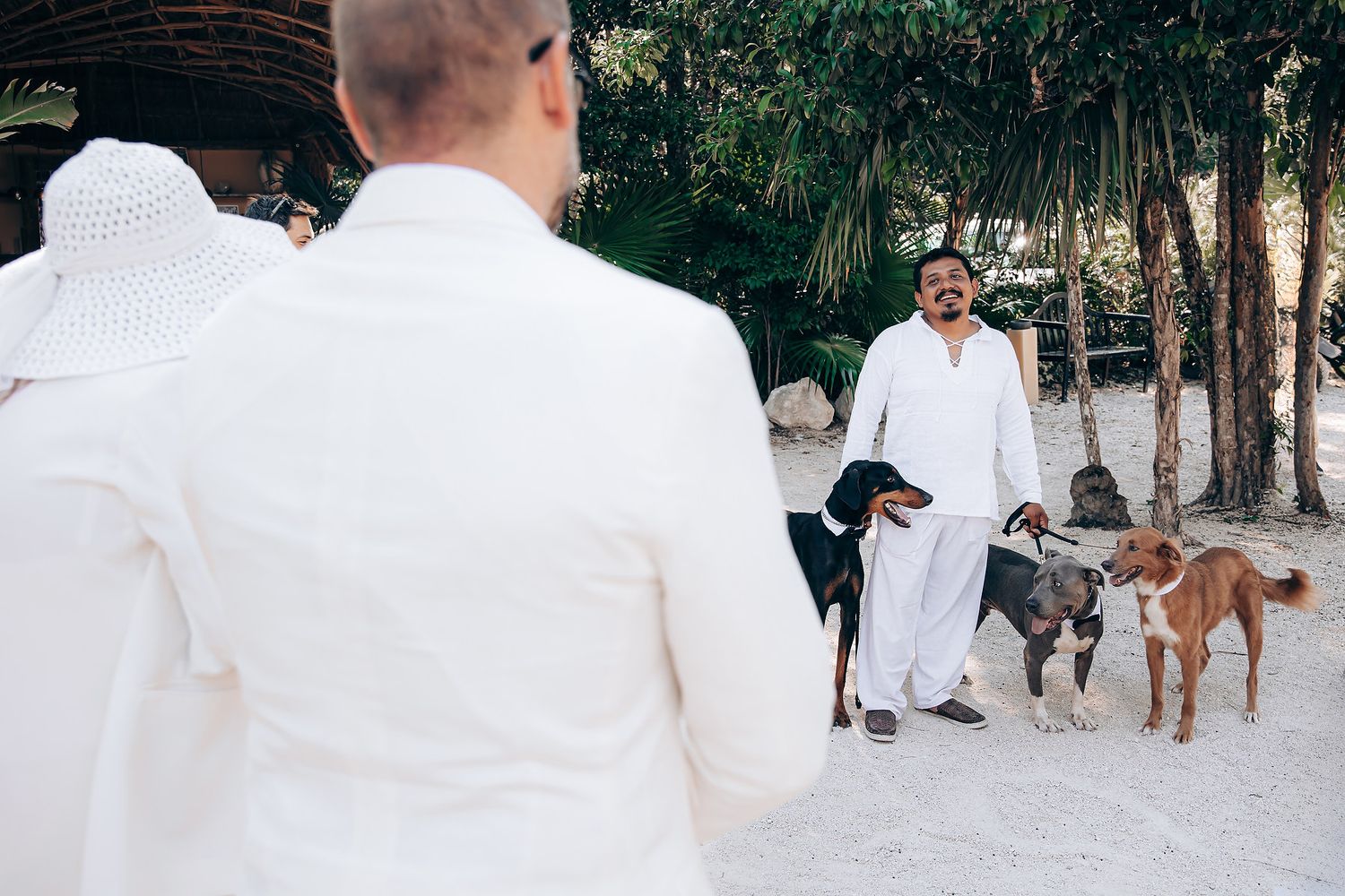 Two people in white outfits stand with three dogs on a sandy tropical path.