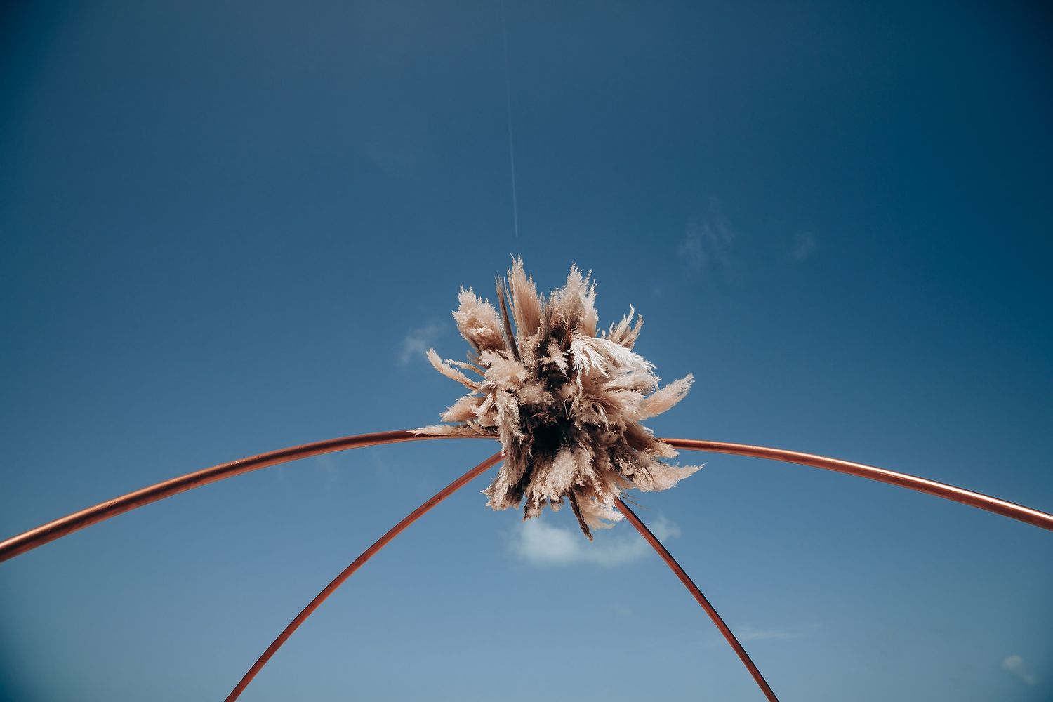 Palm fronds silhouetted against a bright blue sky create a natural arch.