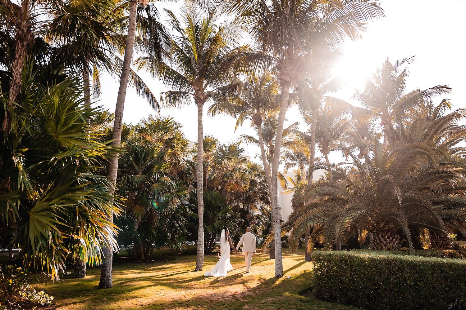 A wedding couple walks through a tropical palm garden path with golden sunlight streaming through the trees.