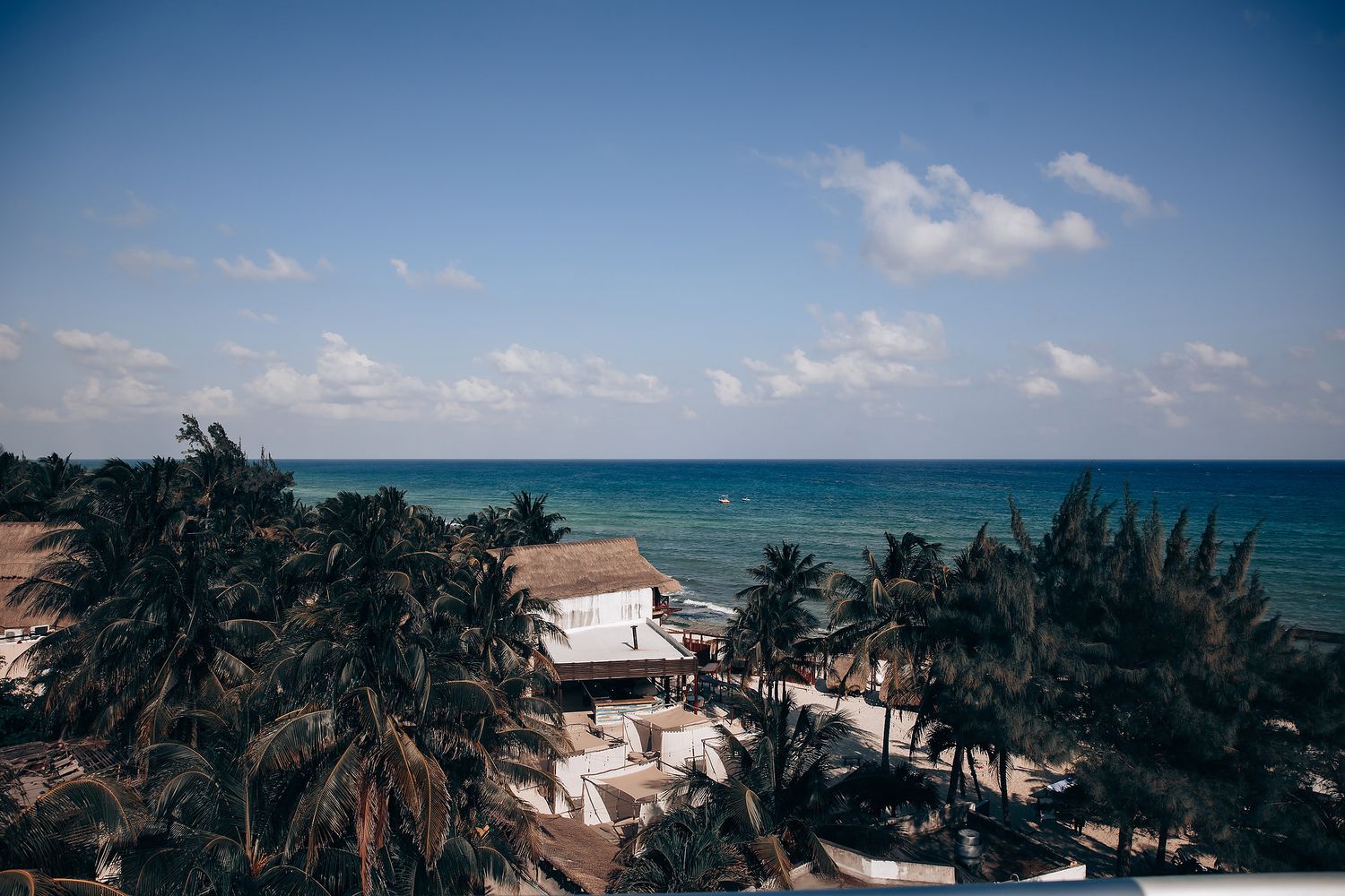 Aerial view of coastal buildings and palm trees along a tropical shoreline.