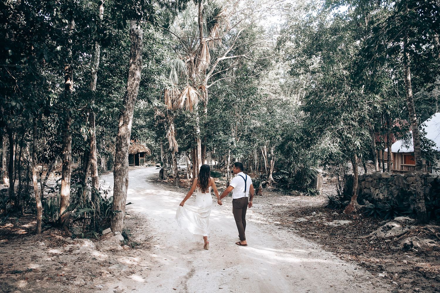A dreamy forest path lined with eucalyptus trees creates a natural outdoor setting.