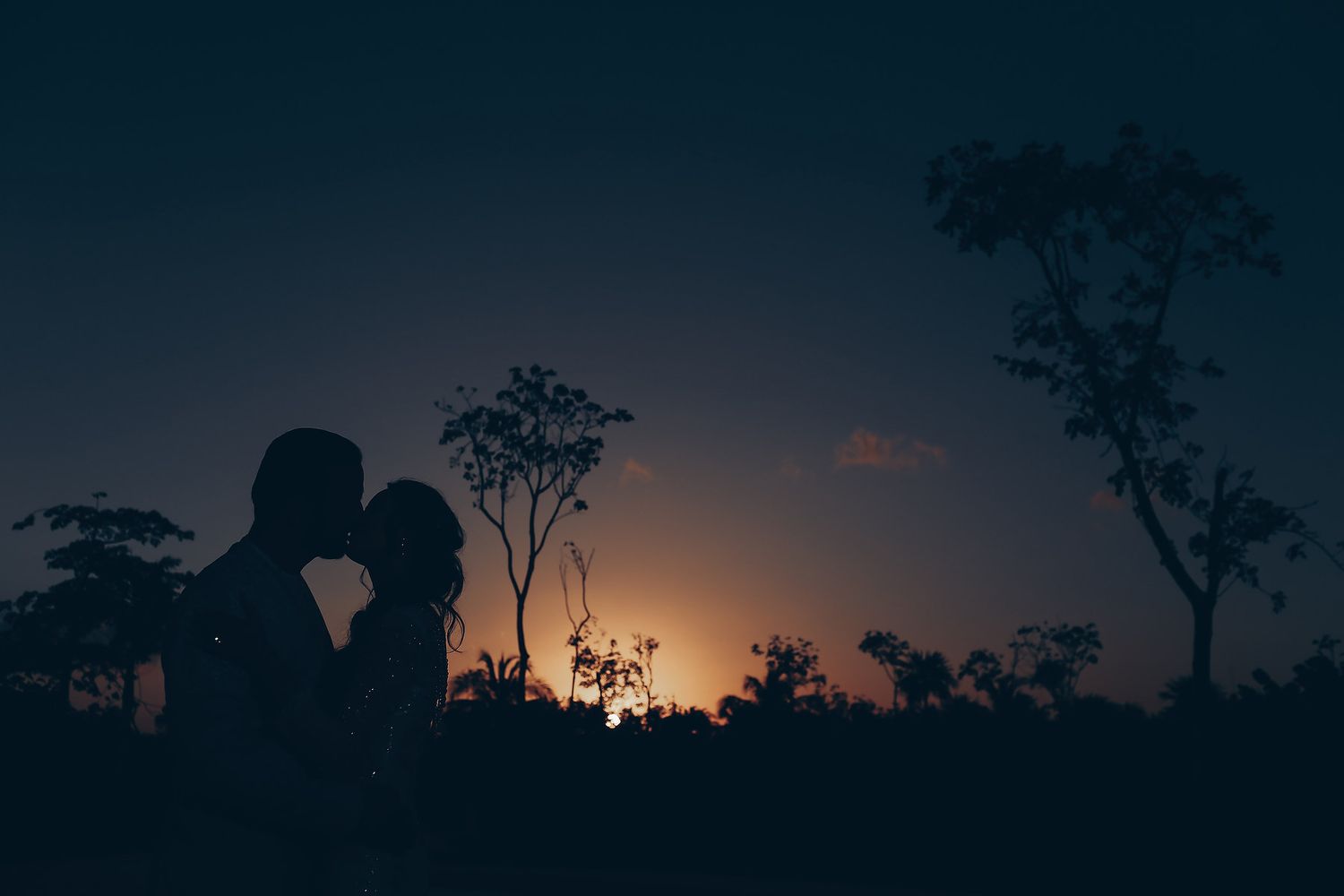 A silhouetted tree stands against a dark orange sunset sky creating a dramatic natural landscape.